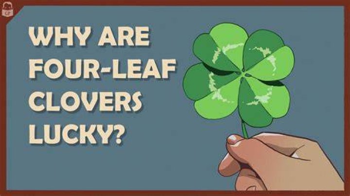 Are four leaf clovers really lucky?