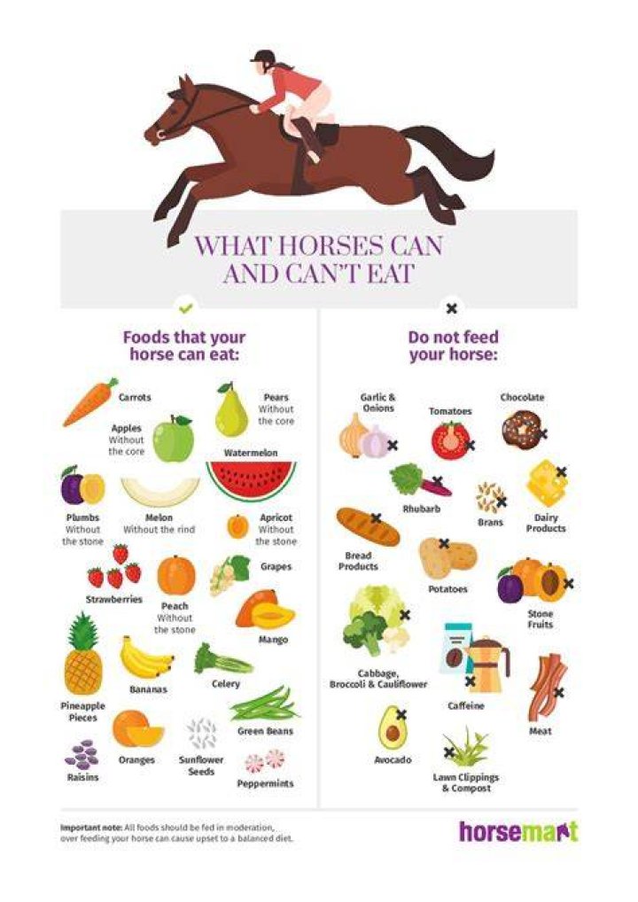 Can horses eat polo?