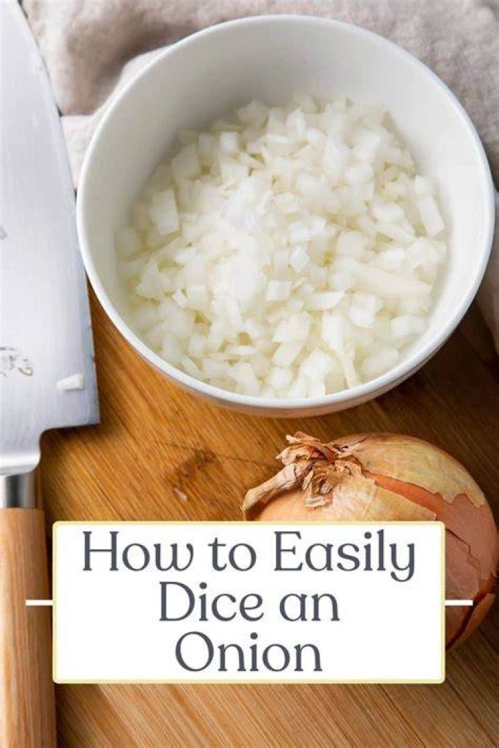 Can you dice an onion in a food processor?