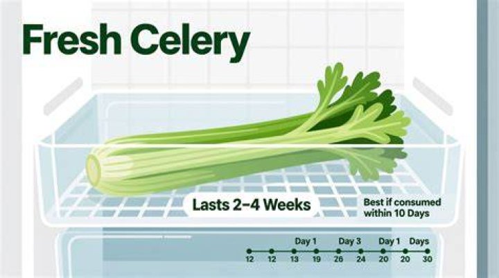 Does celery need to be refrigerated?