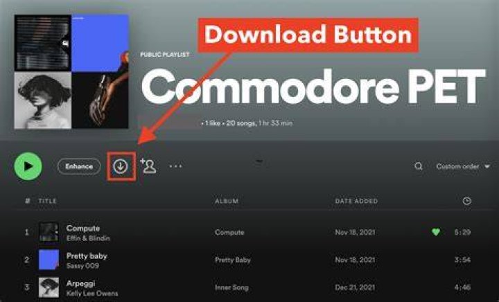 How can I download songs from Internet?