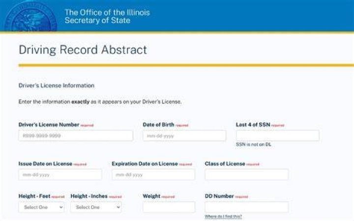 How can I see my driving record in Illinois?