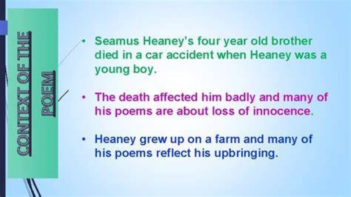 How did Seamus Heaney's brother die?