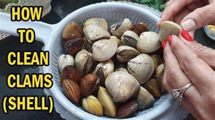 How do you clean clams in the shell?