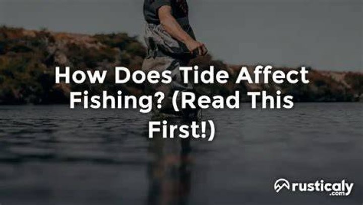 How does the tide affect fishing?