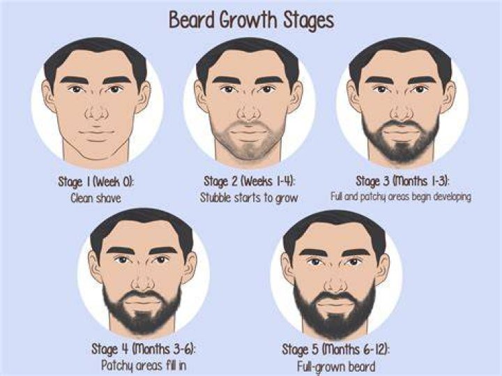 How long does it take to shrink a head?