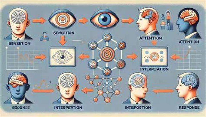 Is perception always accurate? | ContextResponse.com