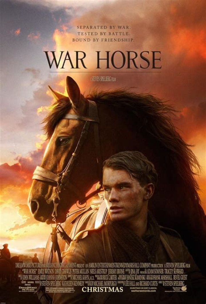 Is the War Horse movie based on a true story?