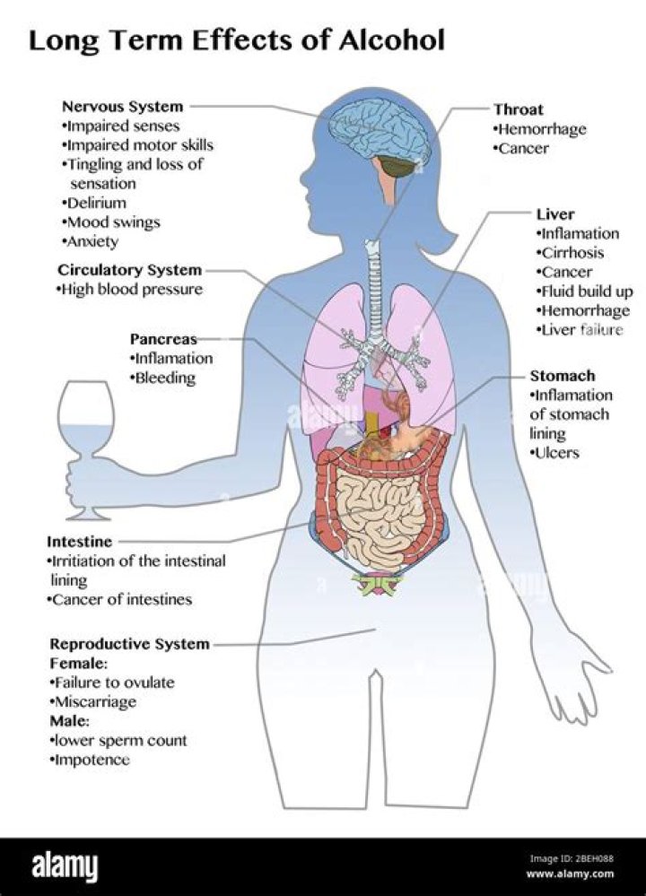 What alcohol does to your organs?