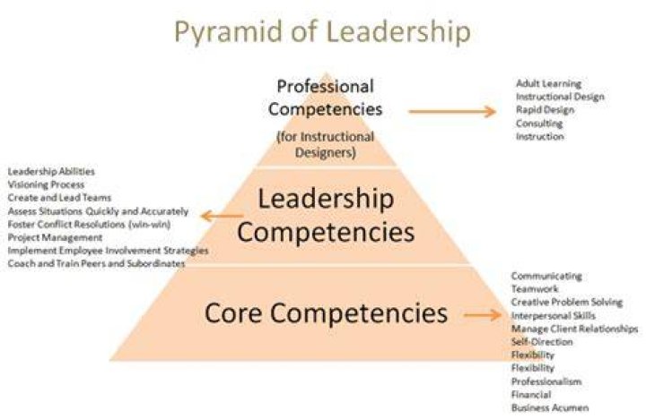 What are the core leader competencies three basic goals?