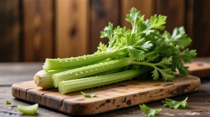 What Celery contains?