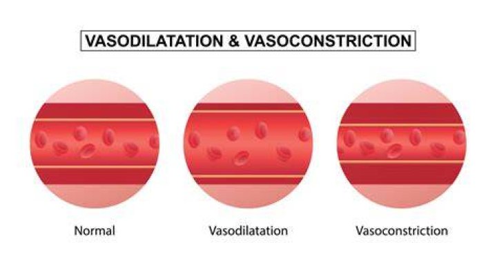 What is vasoconstriction vasodilation? | ContextResponse.com