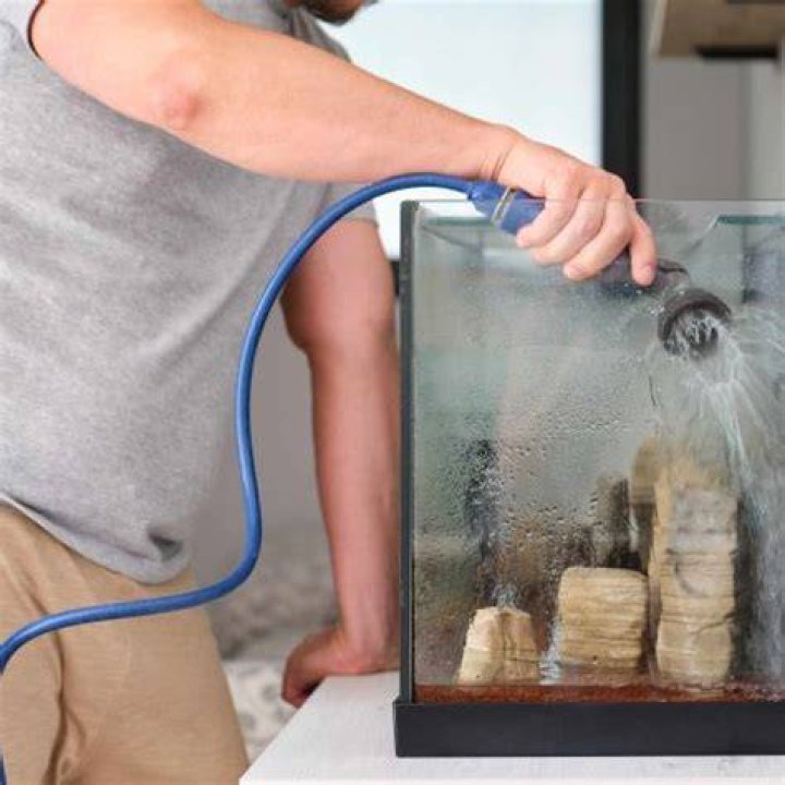 What kind of water should you use in a fish tank?