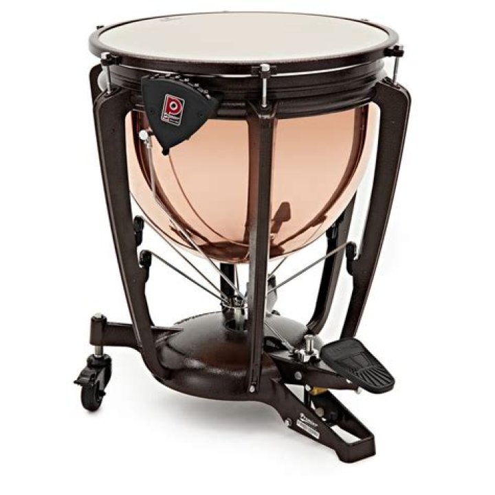 What musical family does the timpani belong?