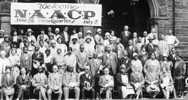 What was the naacp views on American society?